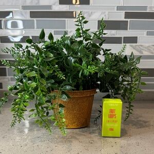 AMINNAH - Fruit Loops Lollipop Coral Cheek & Lip Tint